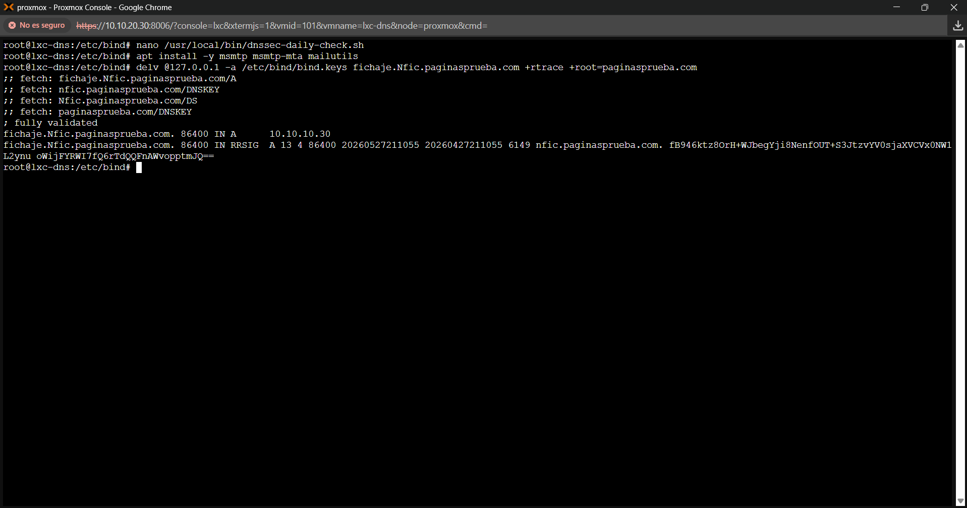 Terminal mostrando delv con resultado fully validated